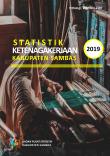 Employment Statistics of Sambas Regency 2019